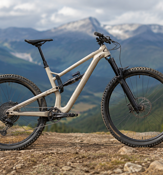 Fuji Rakan 29 LT 1.1